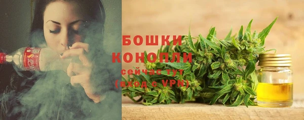 амф Инта