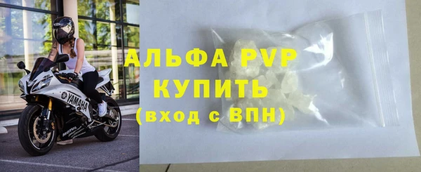 амф Инта
