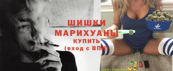 амф Инта